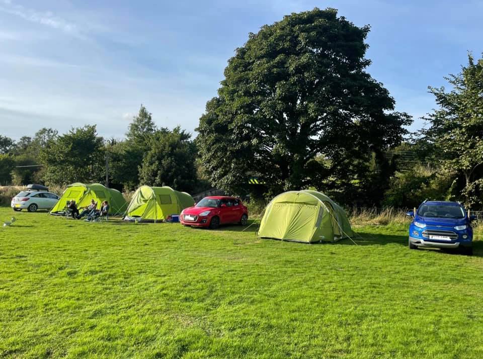 CAMPING PROLOGIC SAC DE COUCHAGE 5 SAISONS